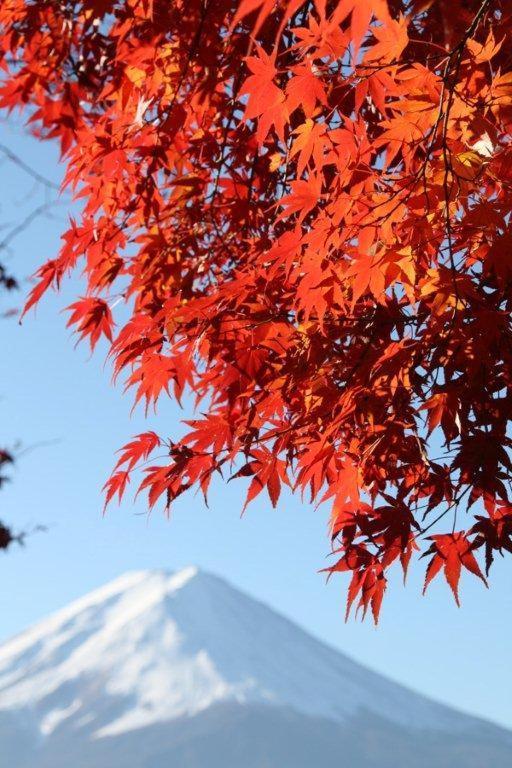 御師の家　梅谷（Umeya） Βίλα Fujikawaguchiko Εξωτερικό φωτογραφία